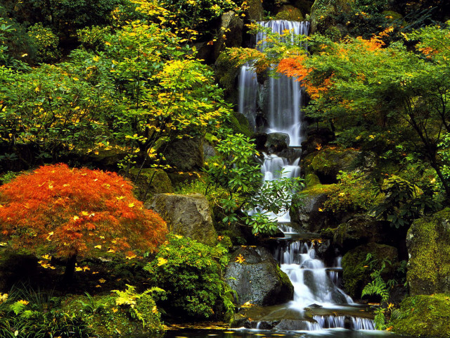 Waterfall forest autumn bushes nature free wallpaper for desktop - medium preview image