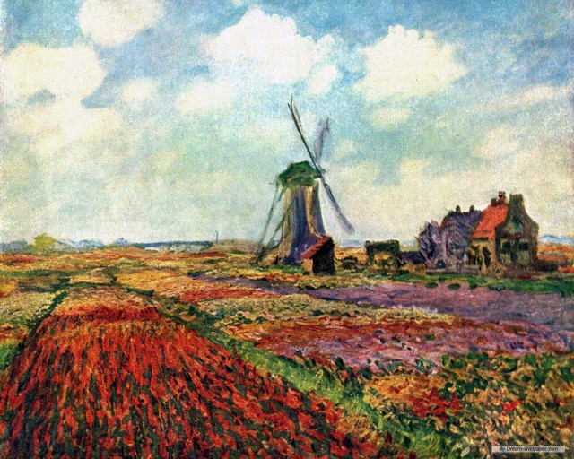 Windmill field flowers house blue free wallpaper for desktop - medium preview image