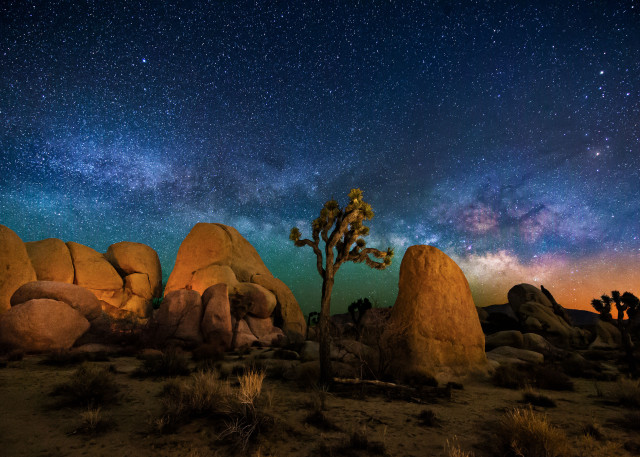 Night sky stars tree rocks free wallpaper for desktop - medium preview image