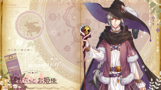 Woman costume crystal ball wand free wallpaper for desktop - medium preview image