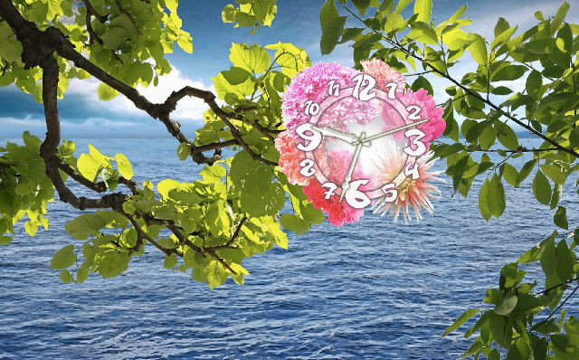 Clock tree water sky background free wallpaper for desktop - medium preview image