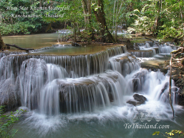 Waterfall forest flowing water tree free wallpaper for desktop - medium preview image