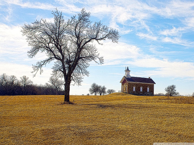 Lone tree field church sunny free wallpaper for desktop - medium preview image