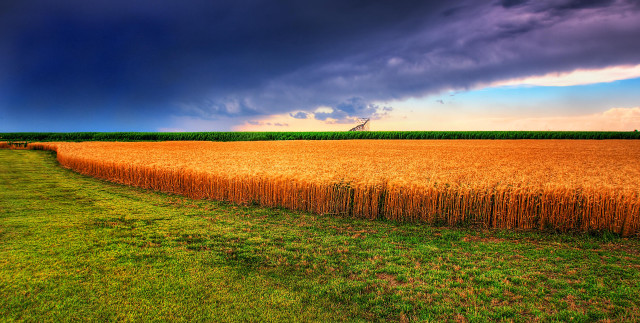 Field grass fence sky clouds free wallpaper for desktop - medium preview image