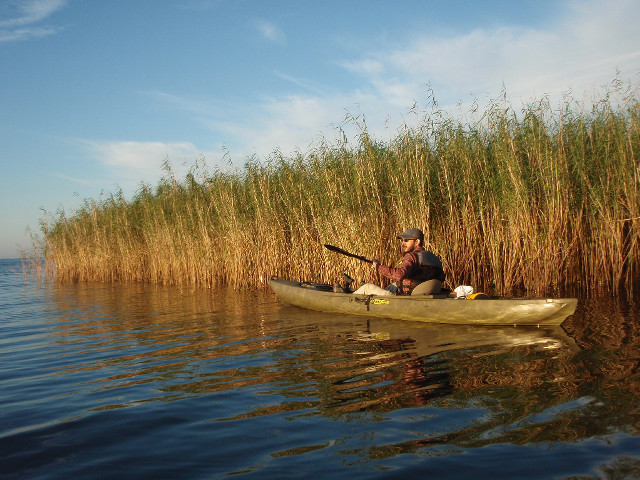 Canoe man tall grass lake free wallpaper for desktop - medium preview image