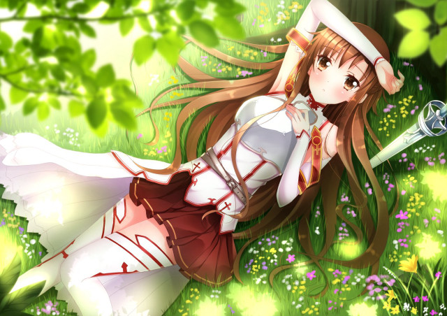 Girl dress hat grass sword free wallpaper for desktop - medium preview image
