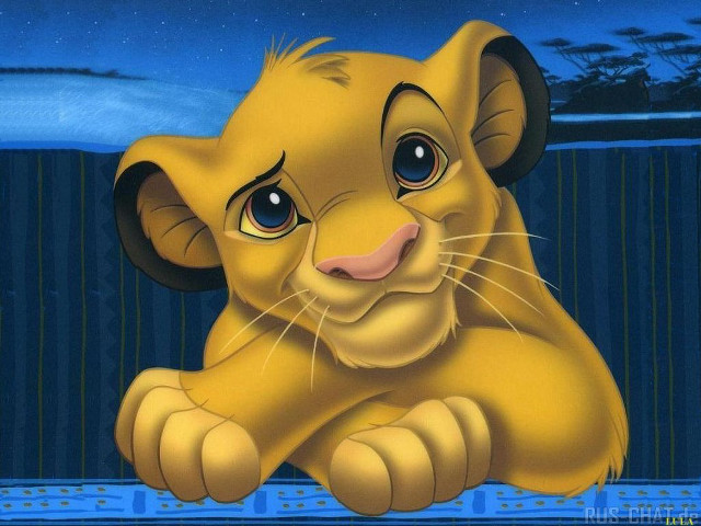 Lion cub blue surface paws free wallpaper for desktop - medium preview image