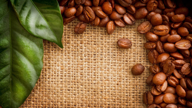 Coffee beans leaf burlap background free wallpaper for desktop - medium preview image