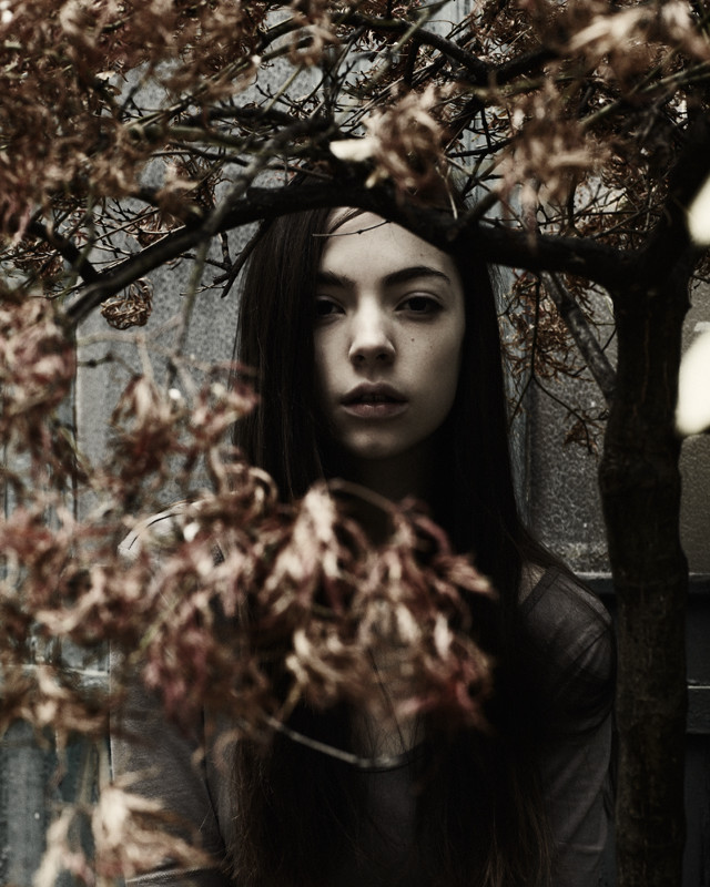 Woman long hair tree leaves free wallpaper for mobile - medium preview image