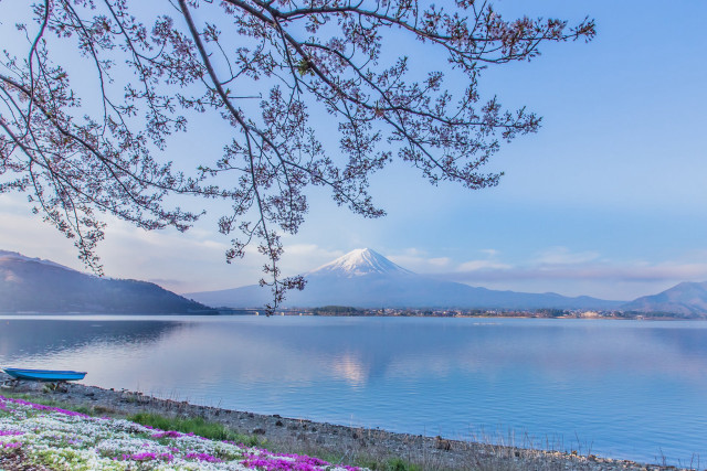Boat shore lake mountain flowers free wallpaper for desktop - medium preview image