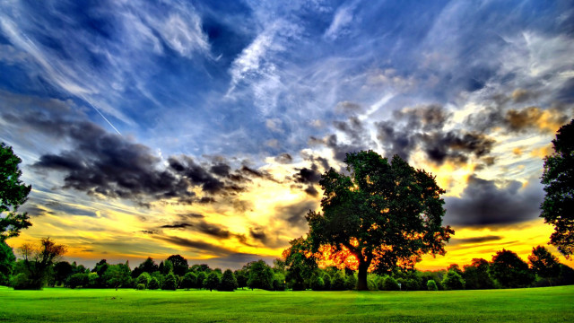 Field trees clouds sunset dawn free wallpaper for desktop - medium preview image