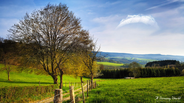 Field fence tree distant building free wallpaper for desktop - medium preview image
