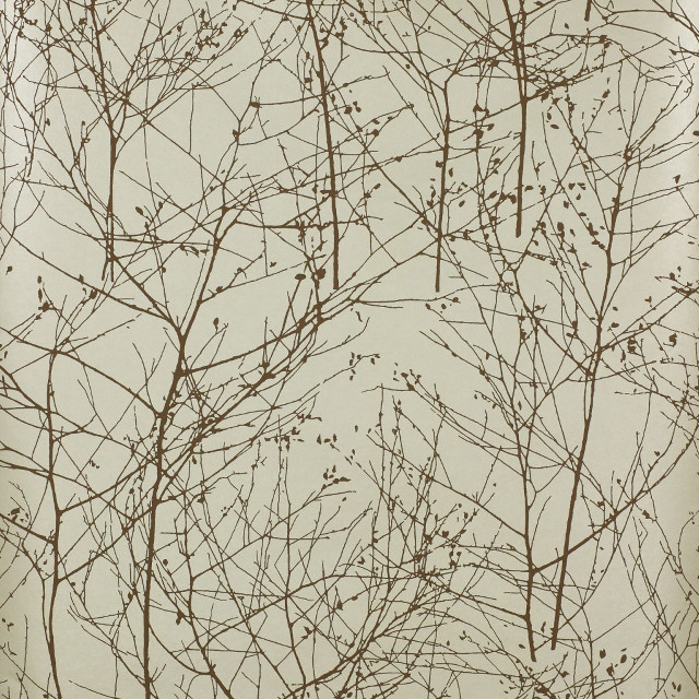 Bare tree no leaves winter free wallpaper for tablet - medium preview image