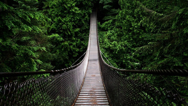 Suspension bridge forest trees walkway #4 free wallpaper for desktop - medium preview image