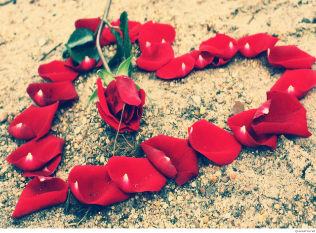 Heart shaped red flowers green free wallpaper for desktop - medium preview image