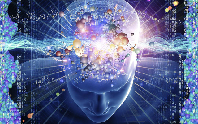 Human head balls brain numbers free wallpaper for desktop - medium preview image