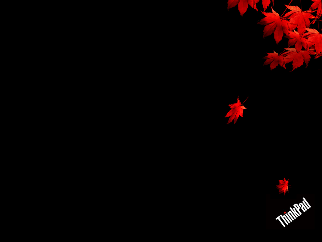 Black background red leaves maple free wallpaper for desktop - medium preview image
