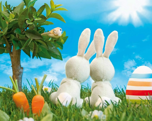 Two white rabbits grass tree free wallpaper for desktop - medium preview image