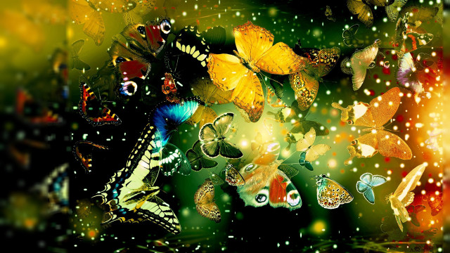 Butterflies flying green background yellow free wallpaper for desktop - medium preview image