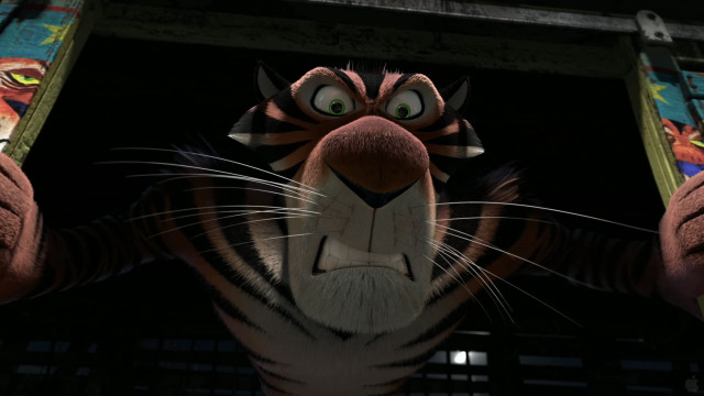 Tiger big eyes big nose free wallpaper for desktop - medium preview image