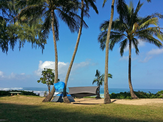 Tent palm trees beach blue free wallpaper for desktop - medium preview image