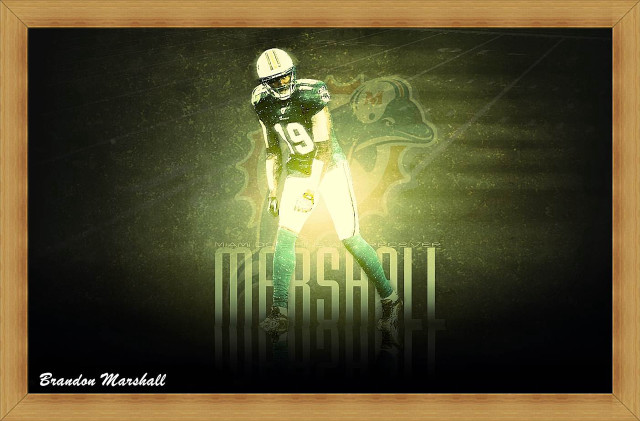 Football player green uniform gold free wallpaper for desktop - medium preview image