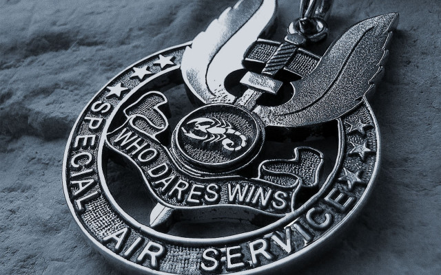 Silver medal bird gray surface free wallpaper for desktop - medium preview image