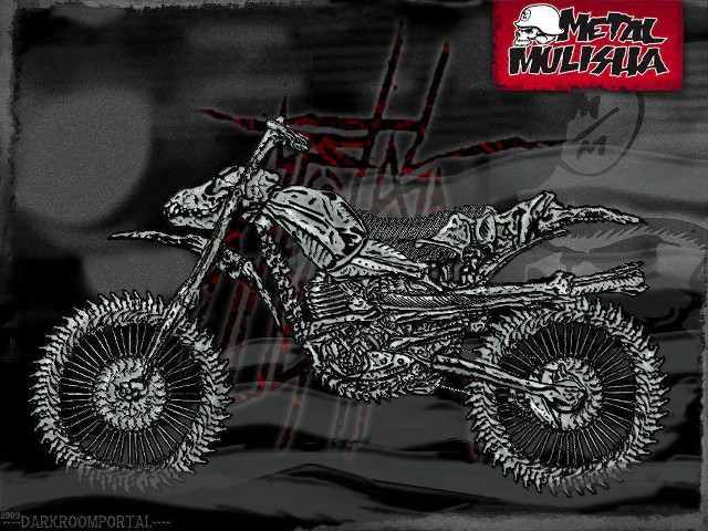 Dirt bike skeleton back tire free wallpaper for desktop - medium preview image