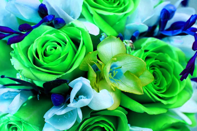 Bouquet green blue flowers green free wallpaper for desktop - medium preview image