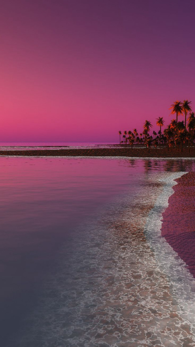 Beach pink sky palm trees free wallpaper for mobile - medium preview image