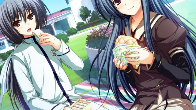 Anime girls long hair outside free wallpaper for desktop - medium preview image