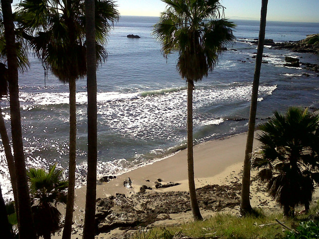 Beach palm trees boat people free wallpaper for desktop - medium preview image