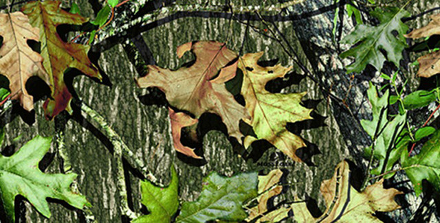 Leaves tree trunk woods background free wallpaper for desktop - medium preview image