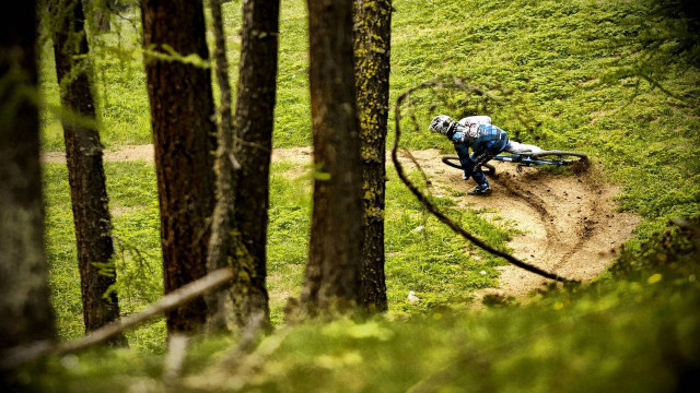 Man riding bike dirt trail free wallpaper for desktop - medium preview image