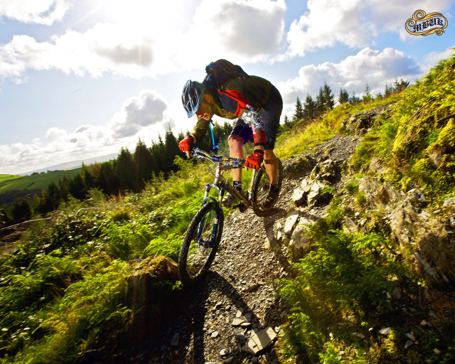 Man biking rocky trail woods free wallpaper for desktop - medium preview image