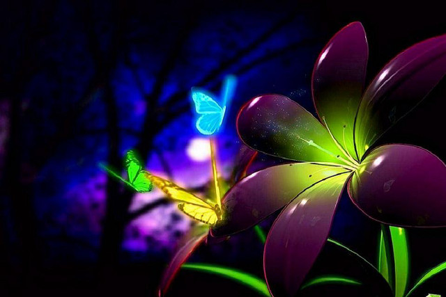 Flower butterfly night lightshow tree free wallpaper for desktop - medium preview image