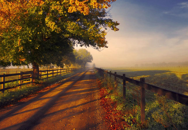 Road fence trees field grass free wallpaper for desktop - medium preview image