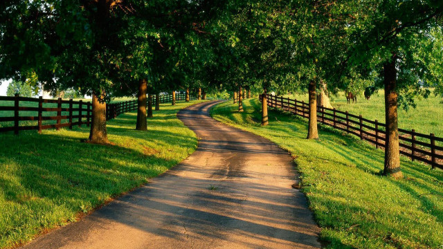 Dirt road fence trees grassy #2 free wallpaper for desktop - medium preview image