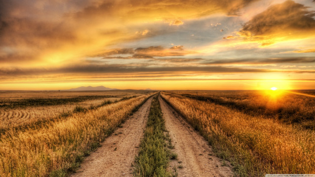 Dirt road field sunset cloudy free wallpaper for desktop - medium preview image