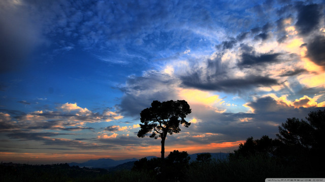 Sunset silhouette tree mountain clouds free wallpaper for desktop - medium preview image