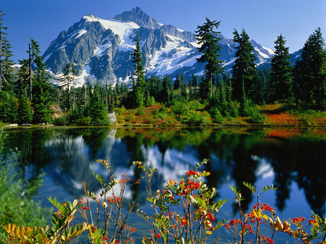 Mountain lake trees foreground background free wallpaper for desktop - medium preview image