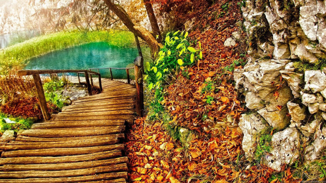Wooden path lake autumn trees free wallpaper for desktop - medium preview image