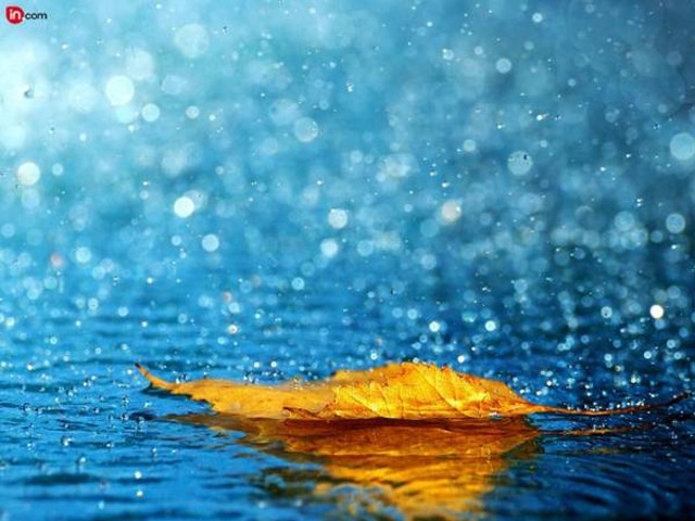 Leaf floating water blue sky free wallpaper for desktop - medium preview image