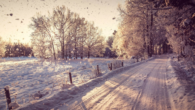 Snowy road fence trees background free wallpaper for desktop - medium preview image