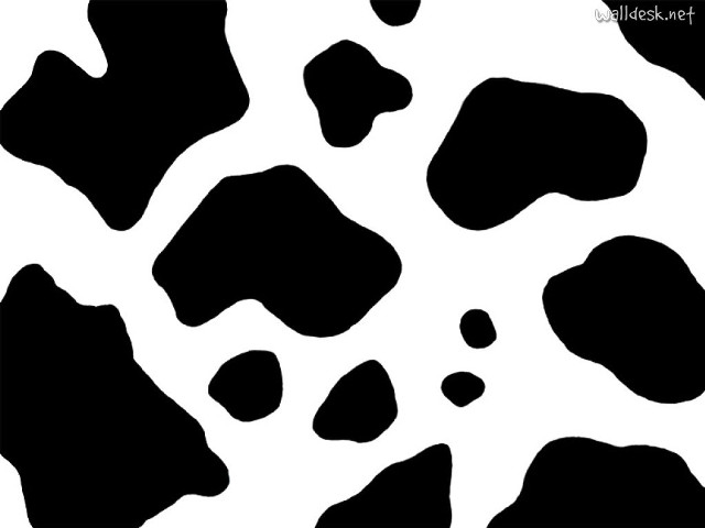 Cow pattern black spots white #3 free wallpaper for desktop - medium preview image