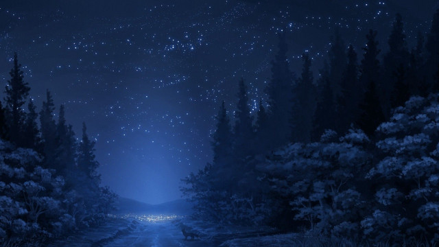 Night scene road trees stars free wallpaper for desktop - medium preview image