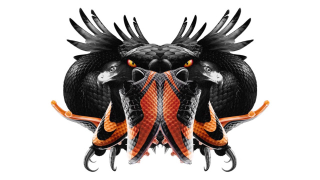 Fish wings group overlapping aquatic free wallpaper for desktop - medium preview image