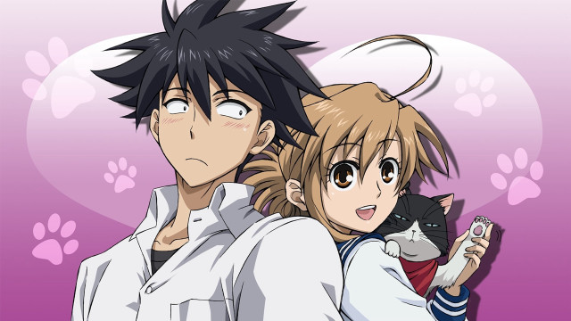 Anime couple cat shoulder image free wallpaper for desktop - medium preview image