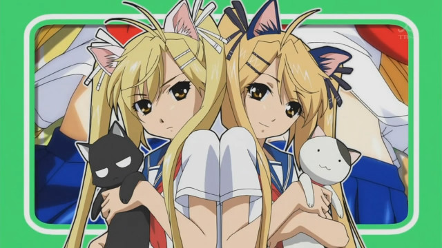 Blonde girls cat stuffed animal free wallpaper for desktop - medium preview image