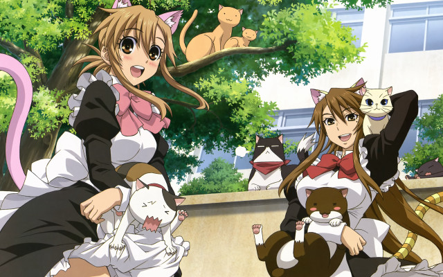 Anime girls with cats surrounded free wallpaper for desktop - medium preview image